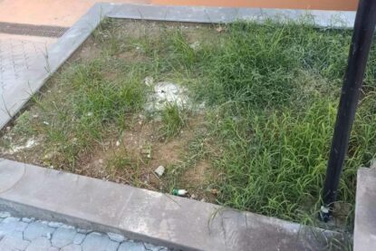 Realizzazione Aiuole 5