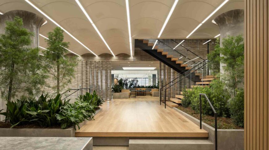 Manutenzione Verde Indoor
