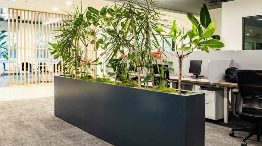 Manutenzione Verde Indoor 1