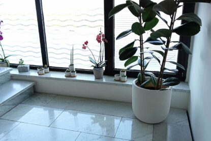 Manutenzione Verde Indoor 3