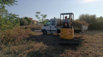 Pulizia Terreno Incolto