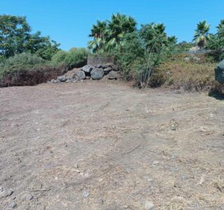 Pulizia Terreno Incolto 2