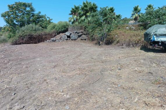 Pulizia Terreno Incolto 2