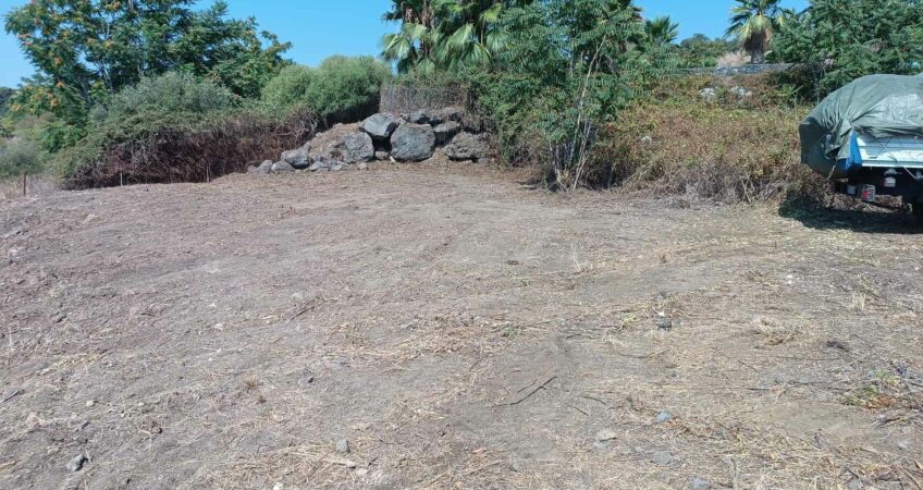 Pulizia Terreno Incolto 2